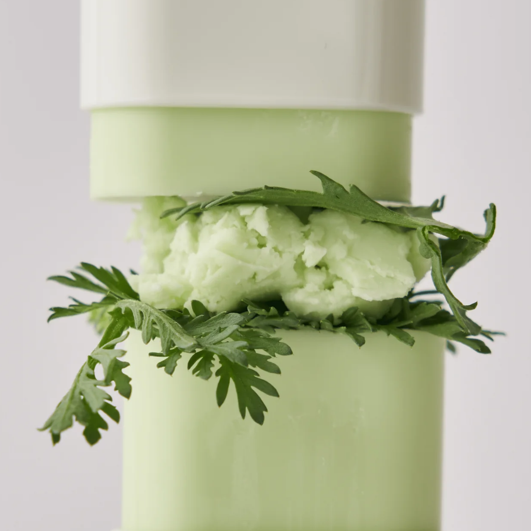 BEAUTY OF JOSEON Matte Sun Stick Mugwort&Camelia SPF50+ 18g
